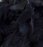 Eleganza Feathers Mixed sizes 3inch-5inch 50g bag Black No.20 - Accessories